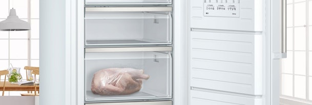 Big Box vriesladen voor grote ingevroren voeding.