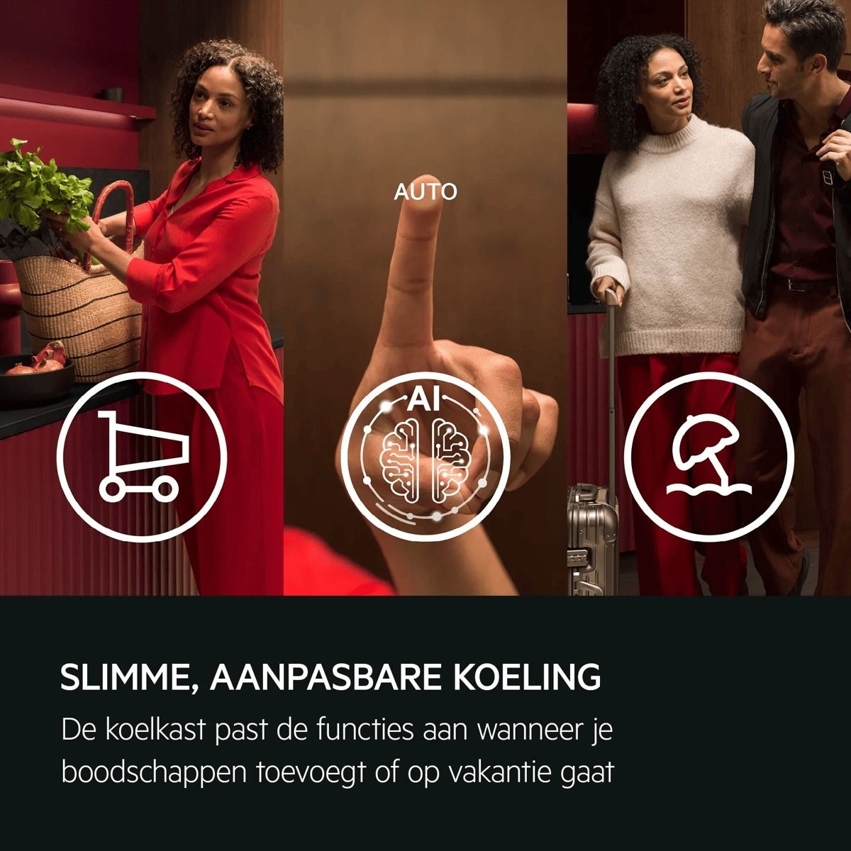 AEG koelkast inbouw NSC6L181ES afbeelding 4
