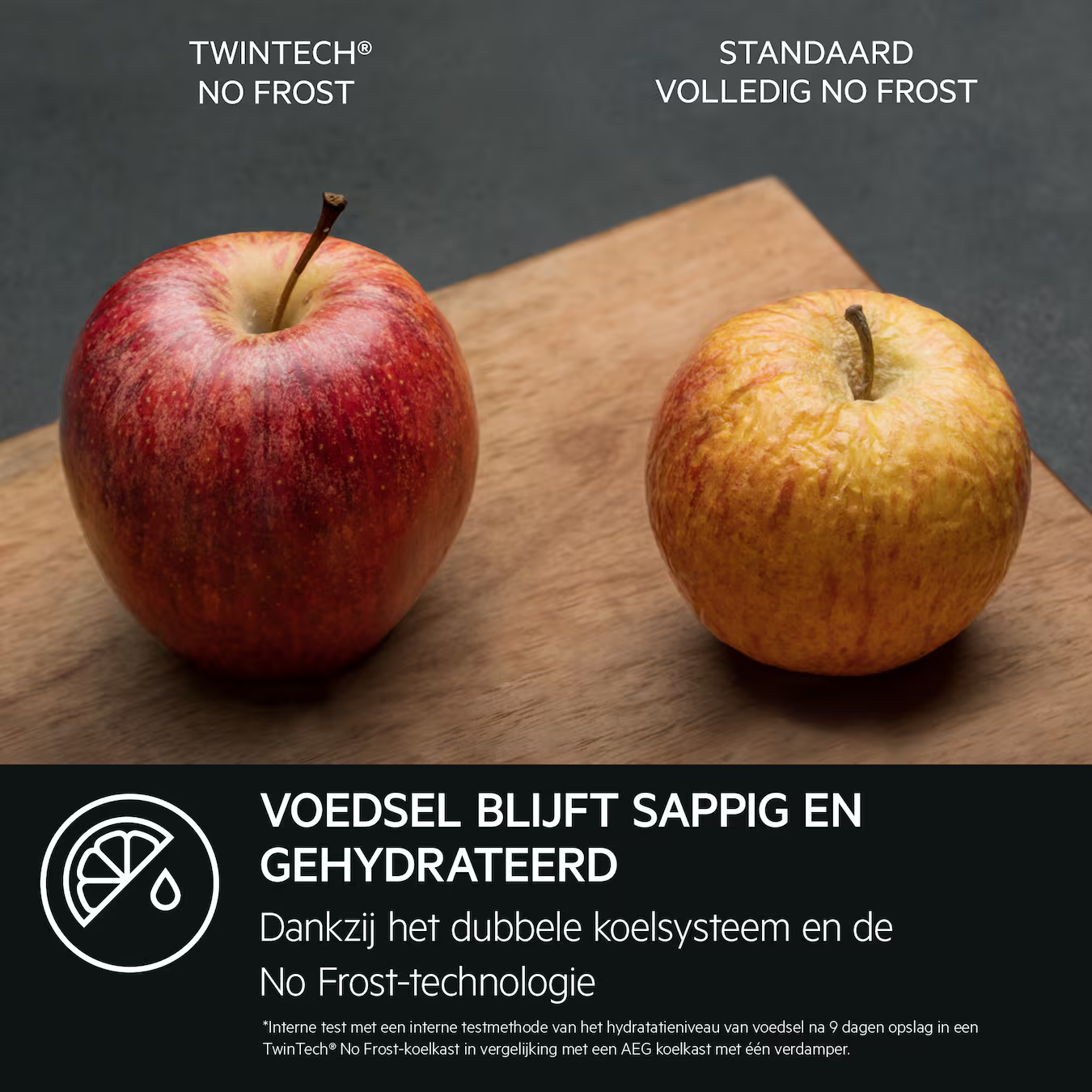 AEG koelkast inbouw NSC6M19FDS afbeelding 4