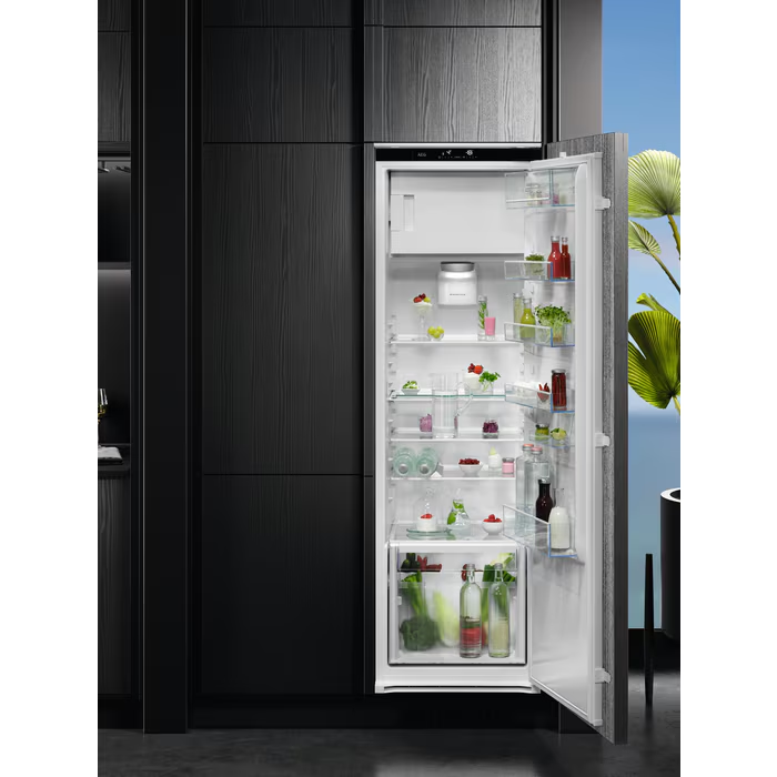 NSF6D181DC AEG afbeelding 2