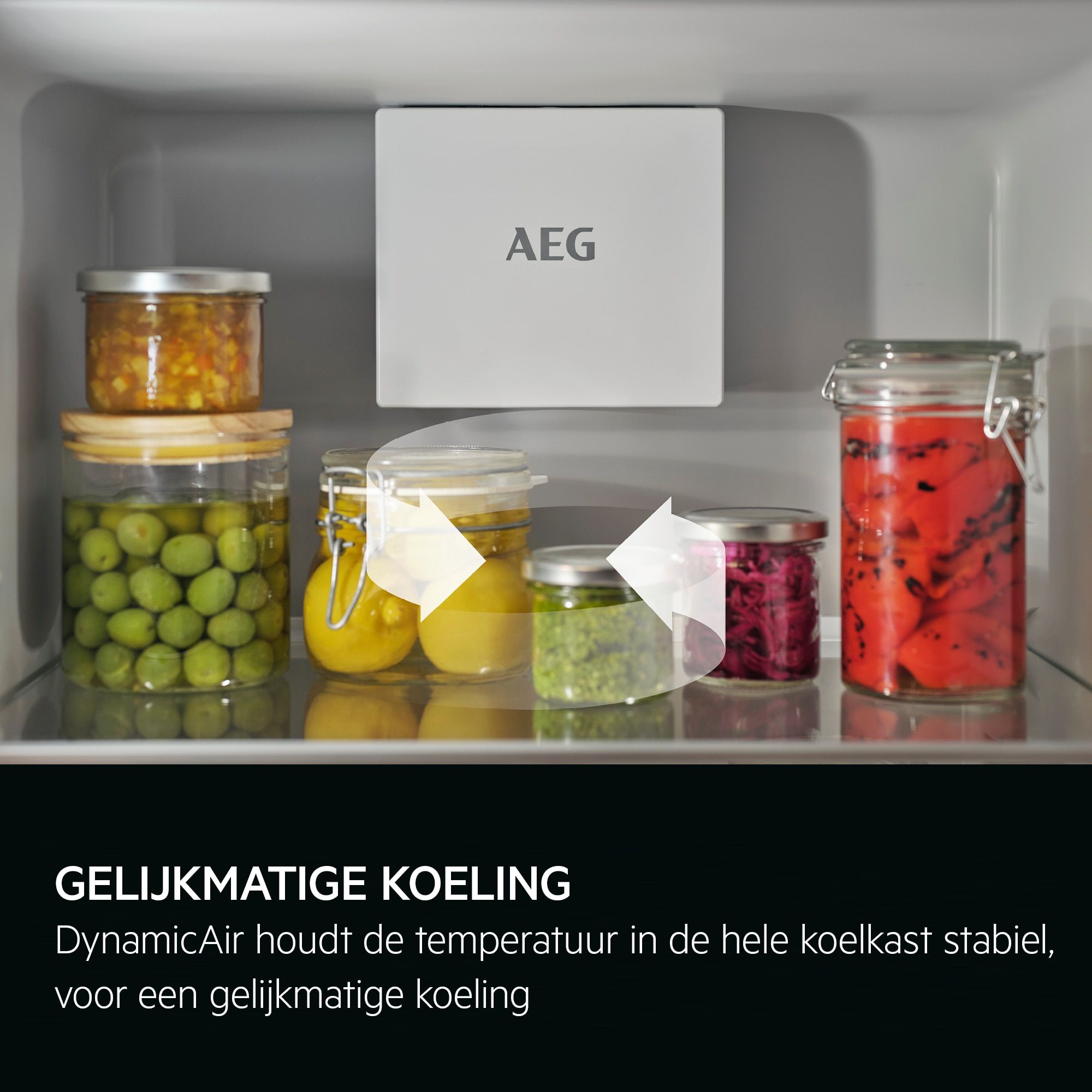 AEG NSK6D181CC inbouw koelkast afbeelding 5