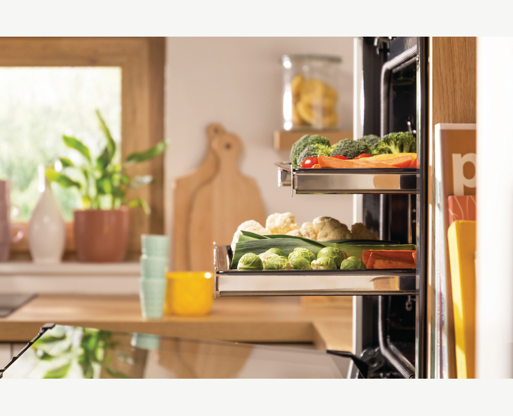 HS3004 Etna afbeelding 2