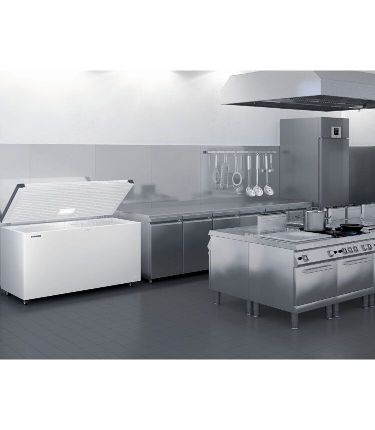 Liebherr vriezer EFL 6055-20 afbeelding 3