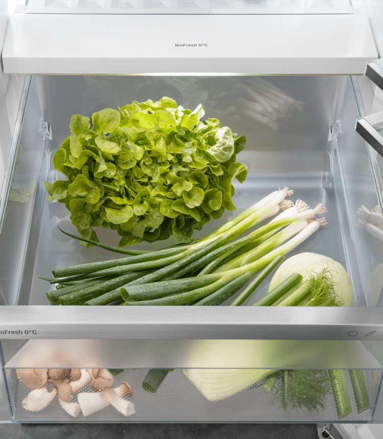 Liebherr RBSDC 525I-22 vrijstaand koelkast afbeelding 5