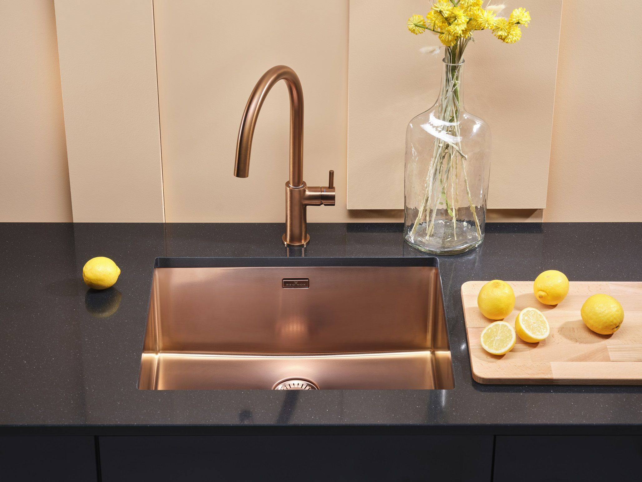 R35153 Reginox afbeelding 2