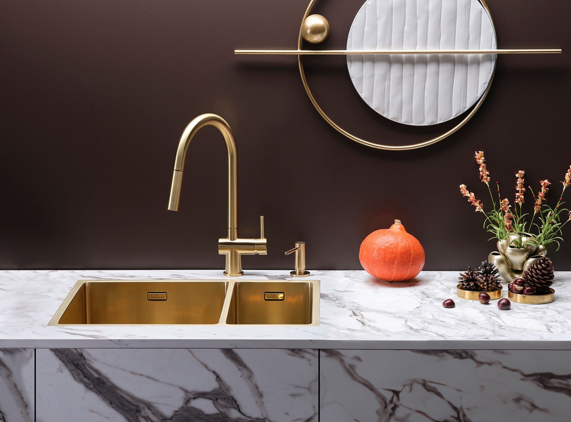 R38833 Reginox afbeelding 2